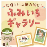 年賀状ならふみいろ年賀状-2025・令和7・巳年の年賀状印刷-11-03-2024_06_24_PM